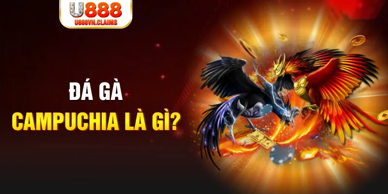 88 credit xổ số miền nam thứ sáu
