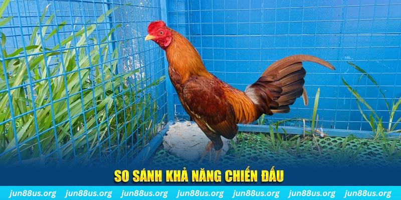 88 credit xổ số tiền giang