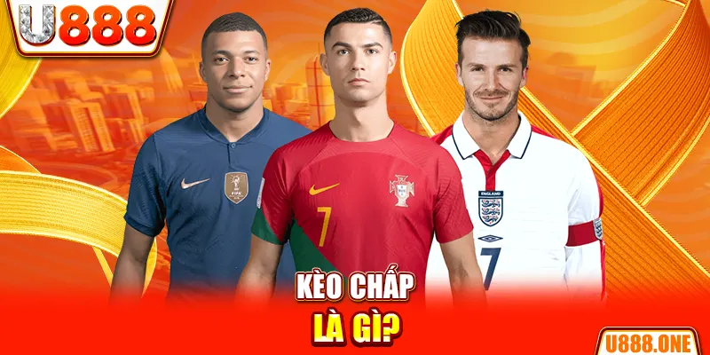 88 credit chổi lông gà
