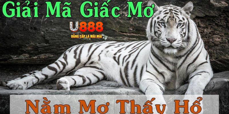 88 credit xổ số kiến thiết miền bắc