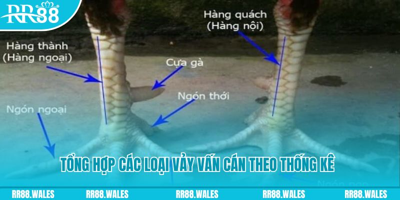 88 credit nổ hũ chơi như thế nào