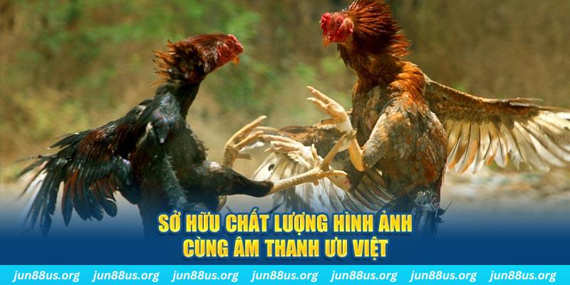 88 credit tai game danh bai ve may tinh