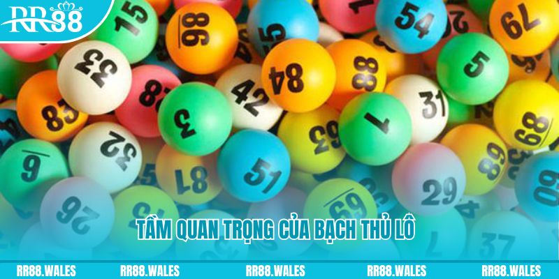 88 credit đá gà trực tiếp casino