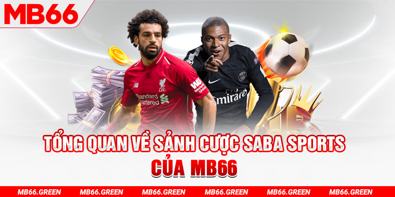 88 credit slot có nghĩa là gì