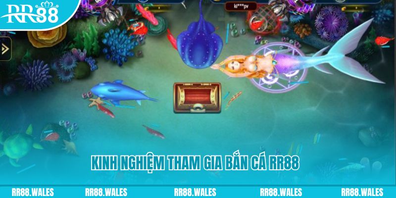 88 credit một slot là gì