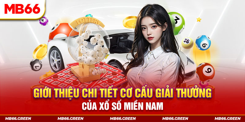 88 credit PP Điện Tử