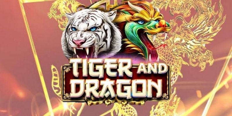 88 credit 888 slot là gì