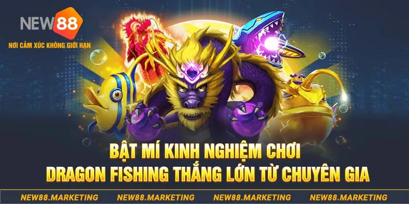 88 credit who wants to be a millionaire slot